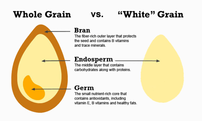 grain refined carb snip.PNG